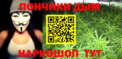 шишки Краснодар